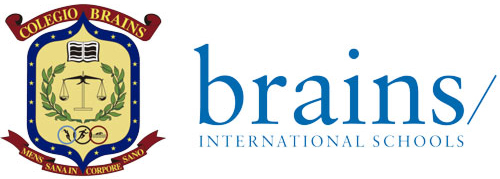 33 brains international schools